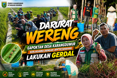 Darurat Wereng, Gapoktan Desa Karangduwur Kerjasama Dengan BPP Petanahan Lakukan GERDAL